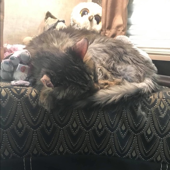 Meet me 😘❤️ - Picture 10 of 12